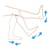 Bakers Cyst Symptoms Bakers Cyst Symptoms